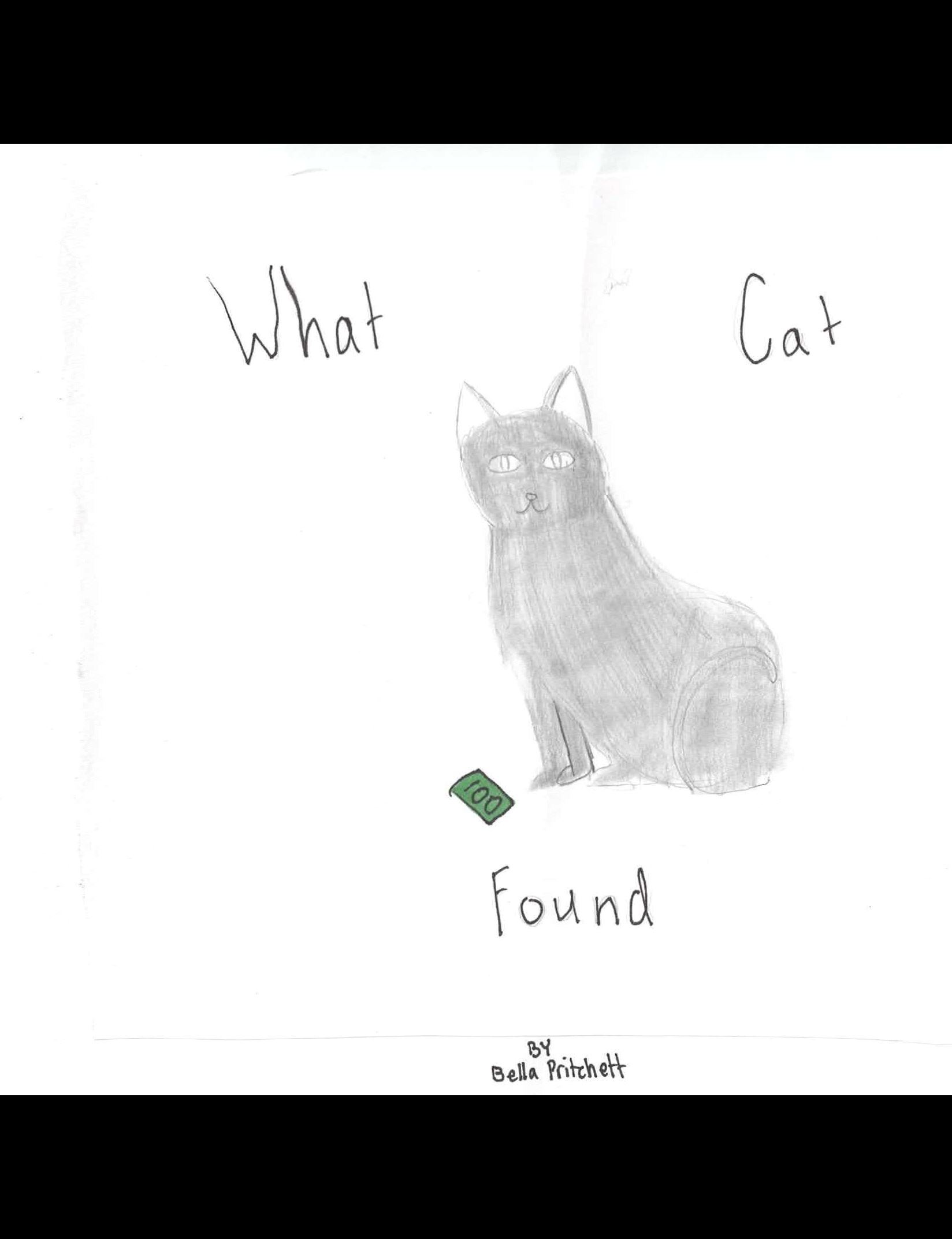 What the Cat Found by Bella Pritchett