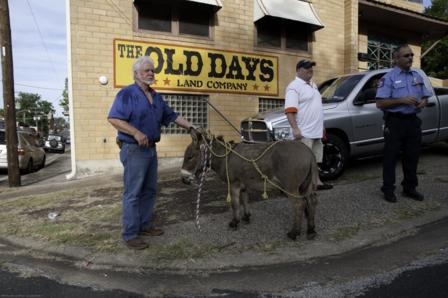 Demi-Semi-Sept Centennial