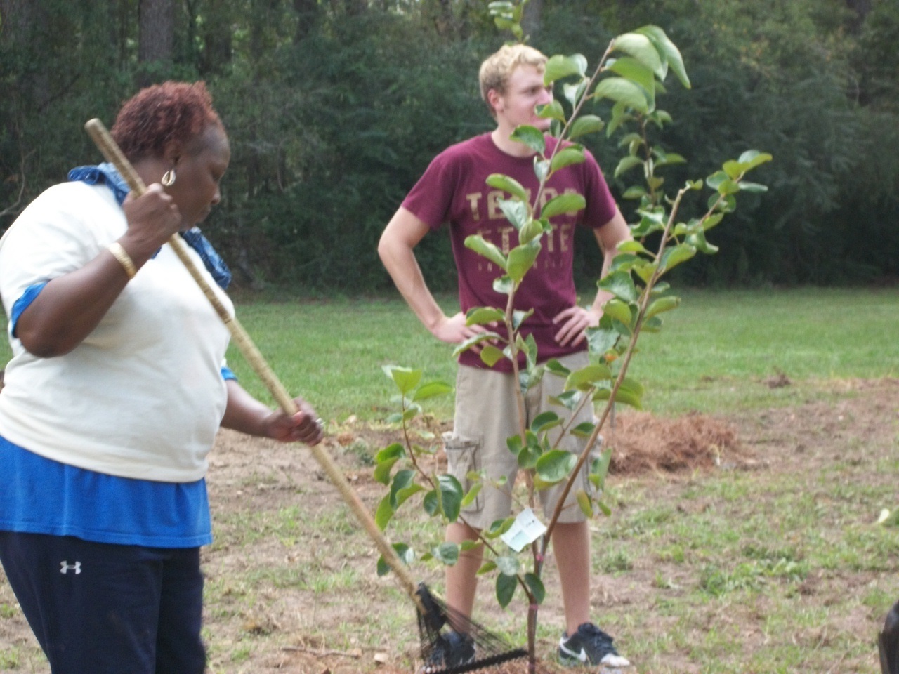 Orchard Planting Day