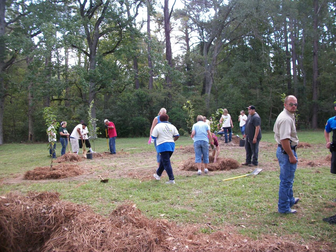 Orchard Planting Day