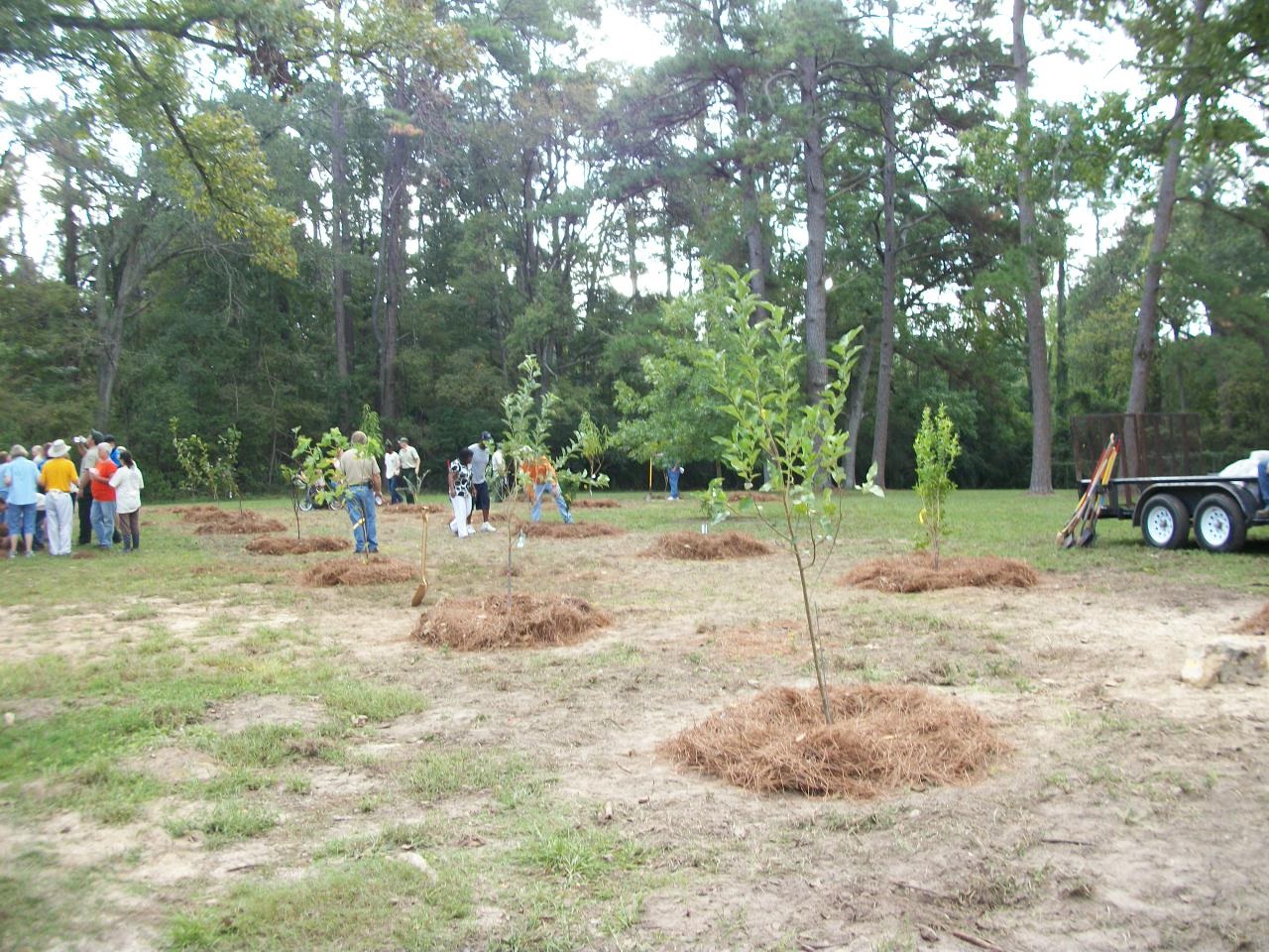 Orchard Planting Day