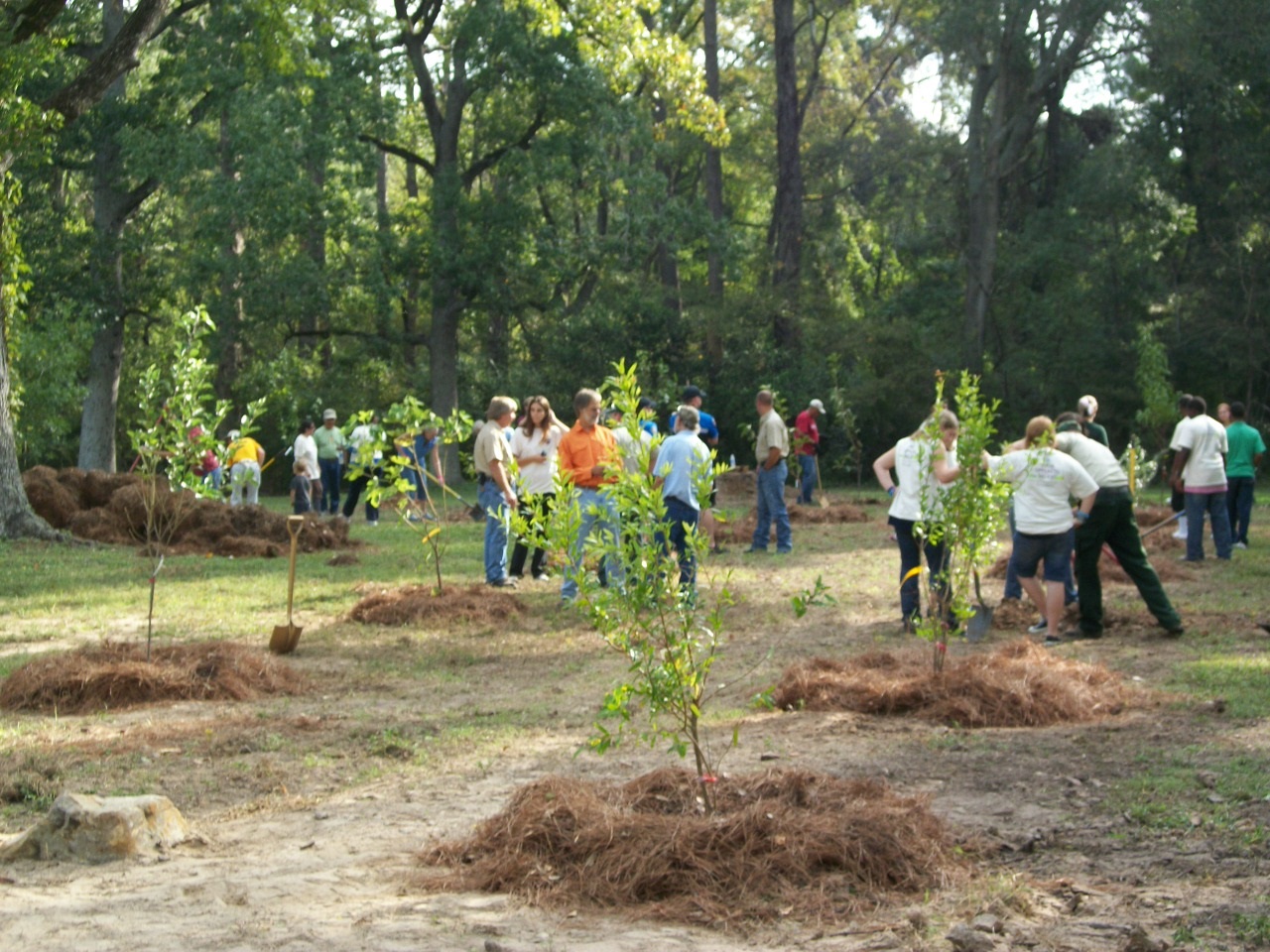 Orchard Planting Day