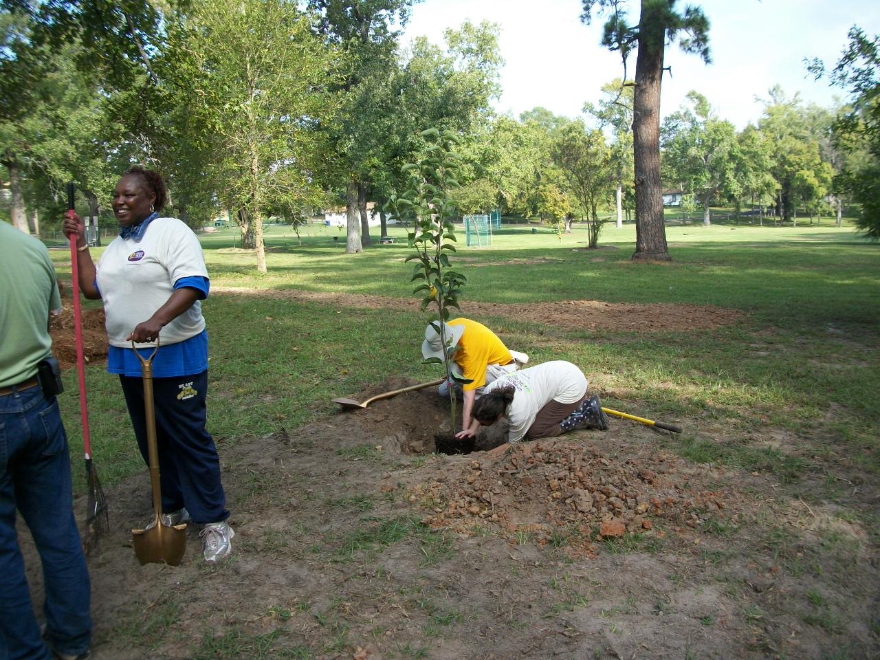 Orchard Planting Day