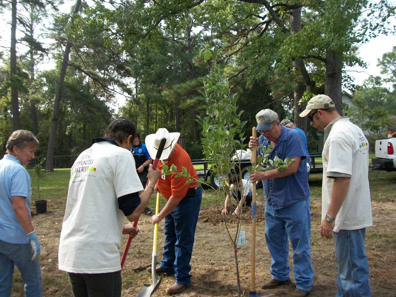 Orchard Planting Day