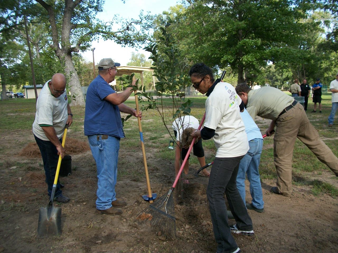 Orchard Planting Day