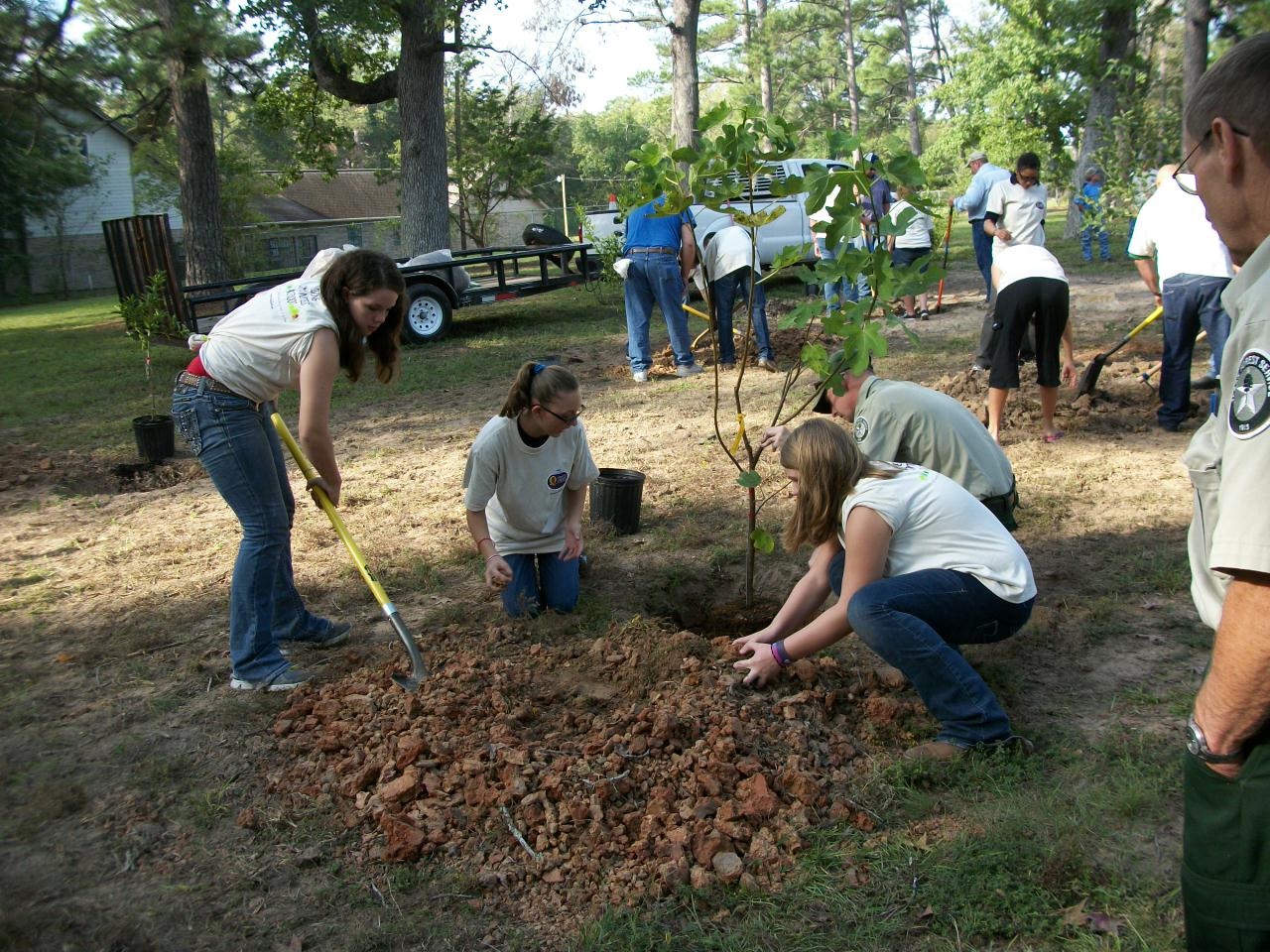 Orchard Planting Day
