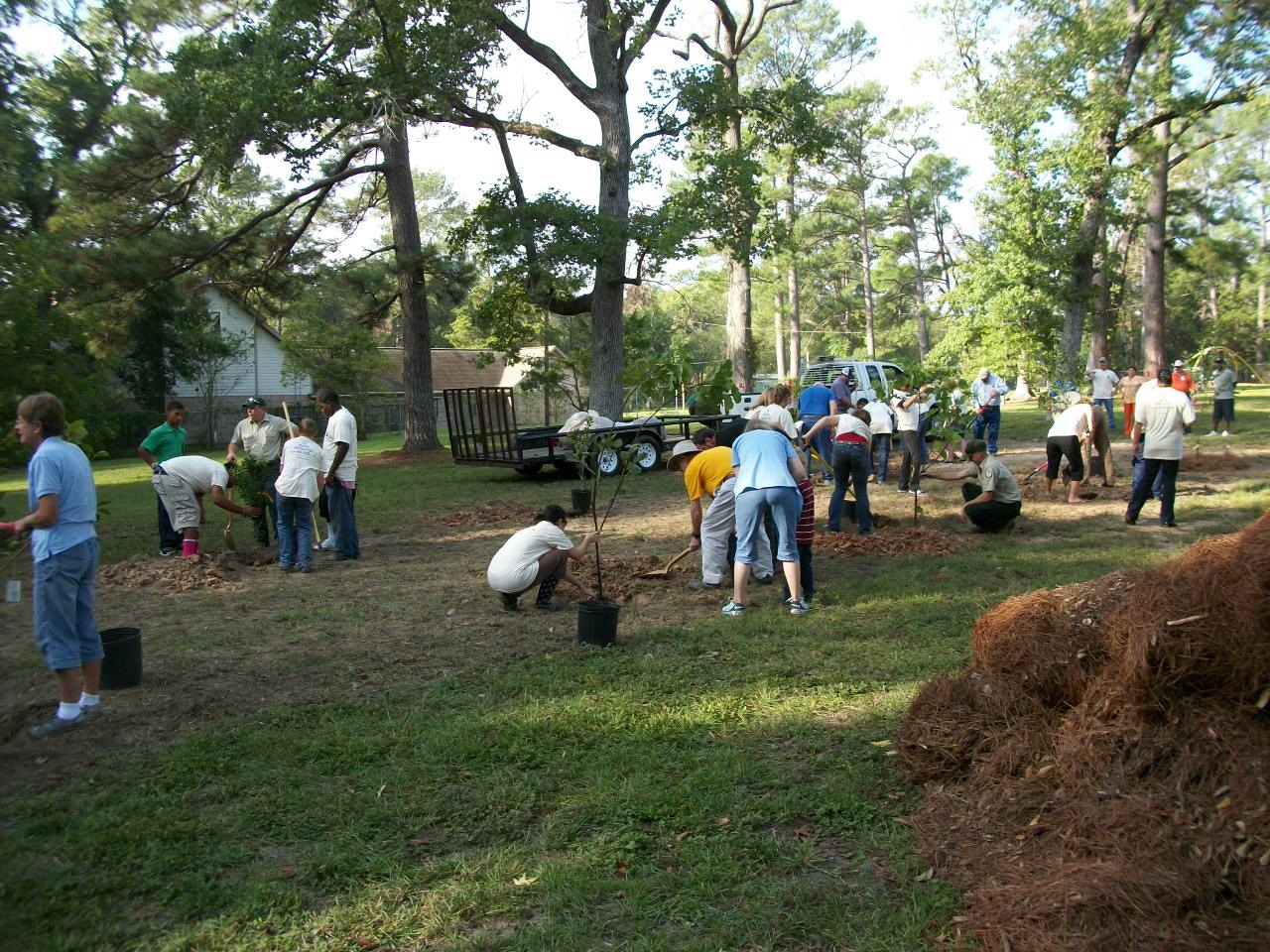 Orchard Planting Day