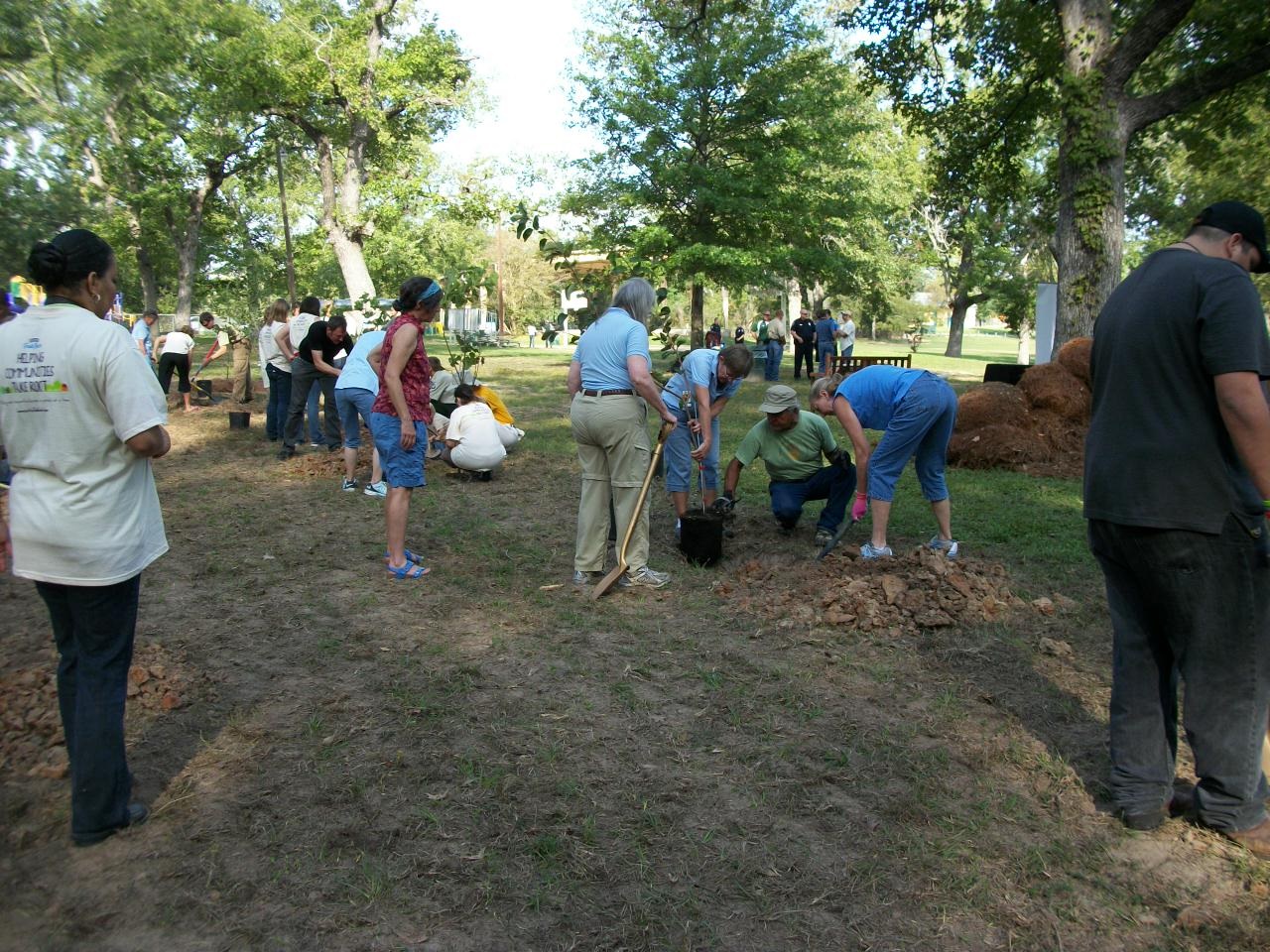 Orchard Planting Day