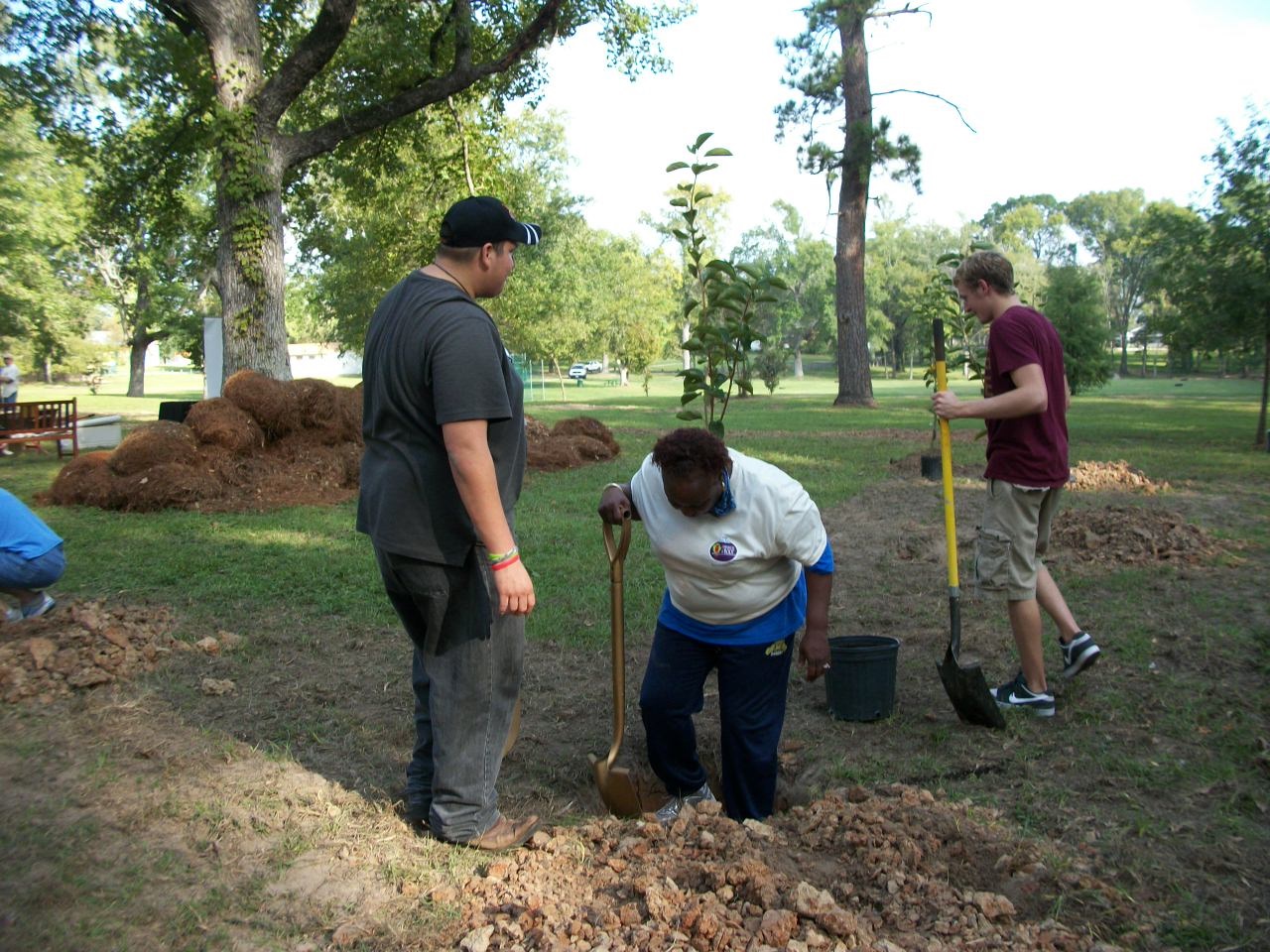 Orchard Planting Day