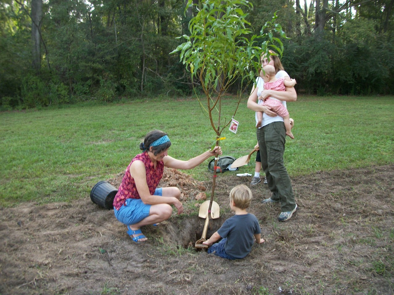 Orchard Planting Day