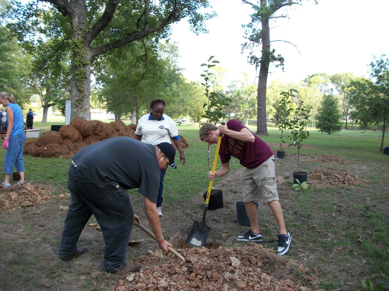 Orchard Planting Day