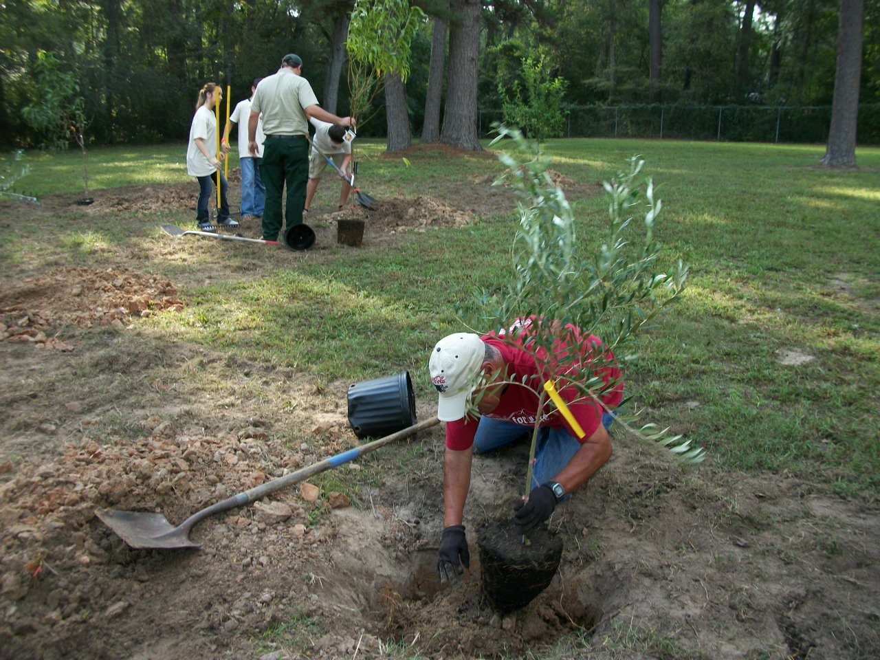 Orchard Planting Day