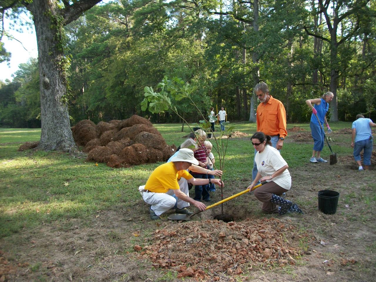 Orchard Planting Day