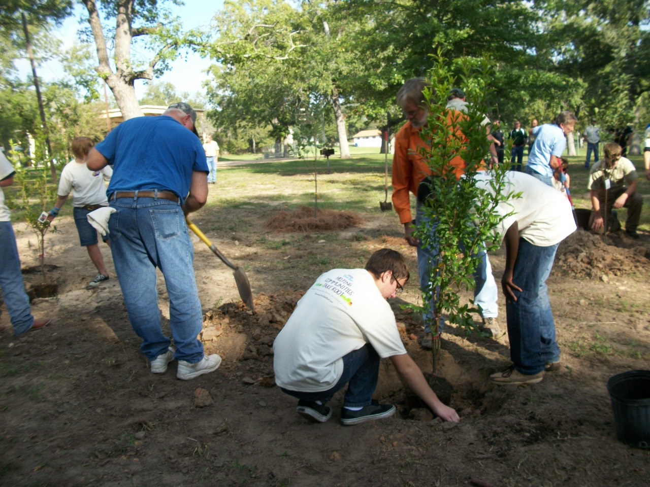 Orchard Planting Day