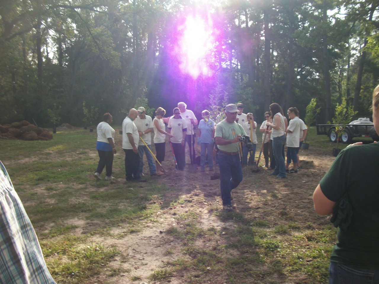 Orchard Planting Day