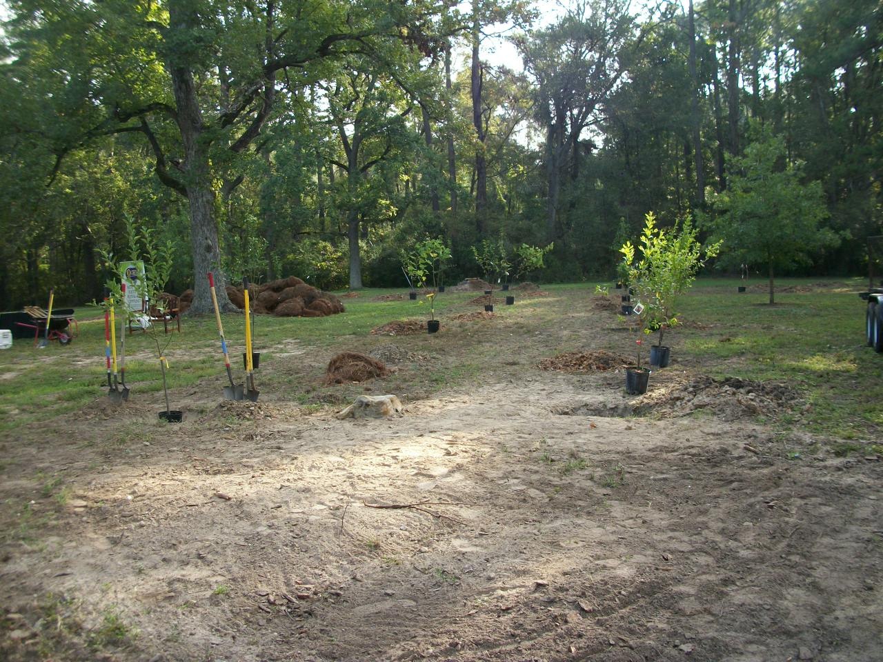 Orchard Planting Day
