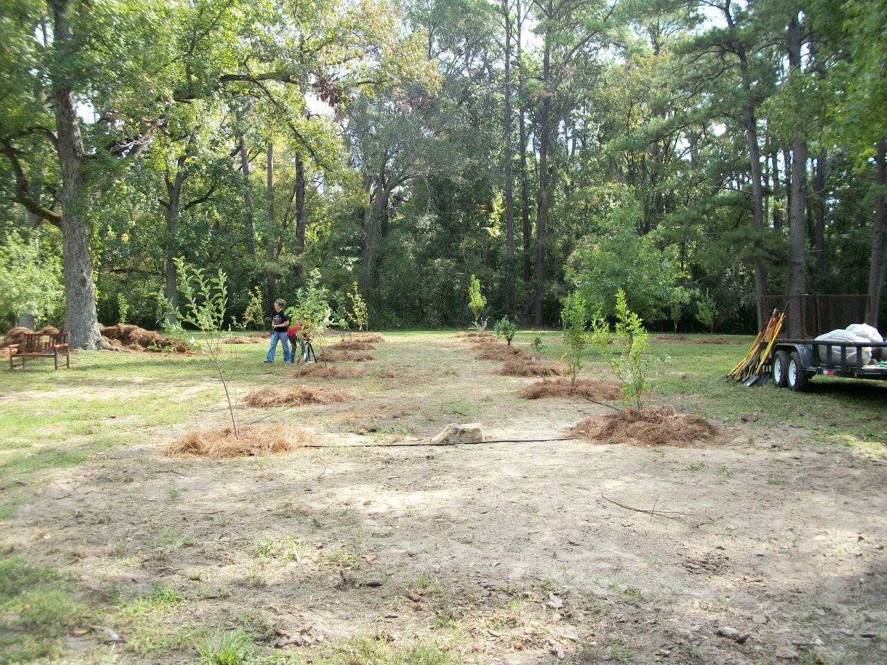 Orchard Planting Day