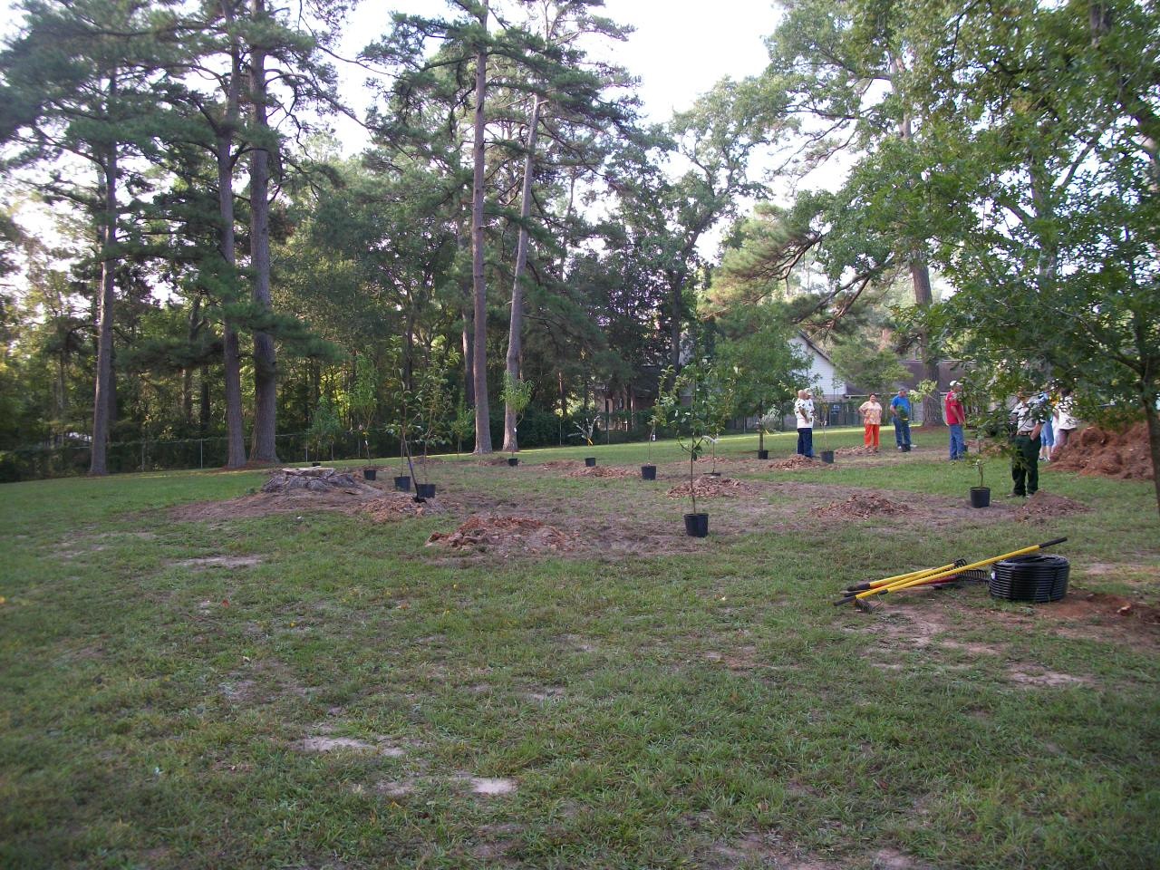 Orchard Planting Day