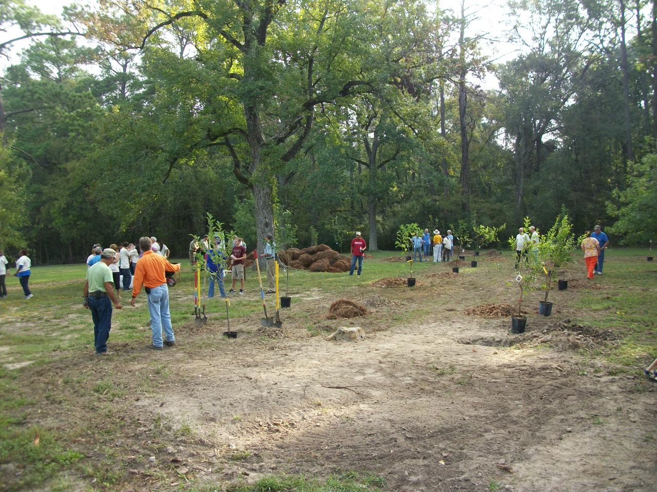 Orchard Planting Day
